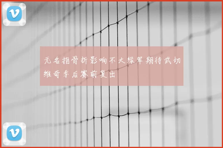 无名指骨折影响不大绿军期待武切维奇季后赛前复出