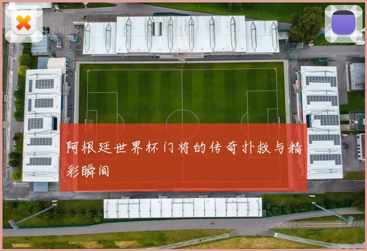 阿根廷世界杯门将的传奇扑救与精彩瞬间