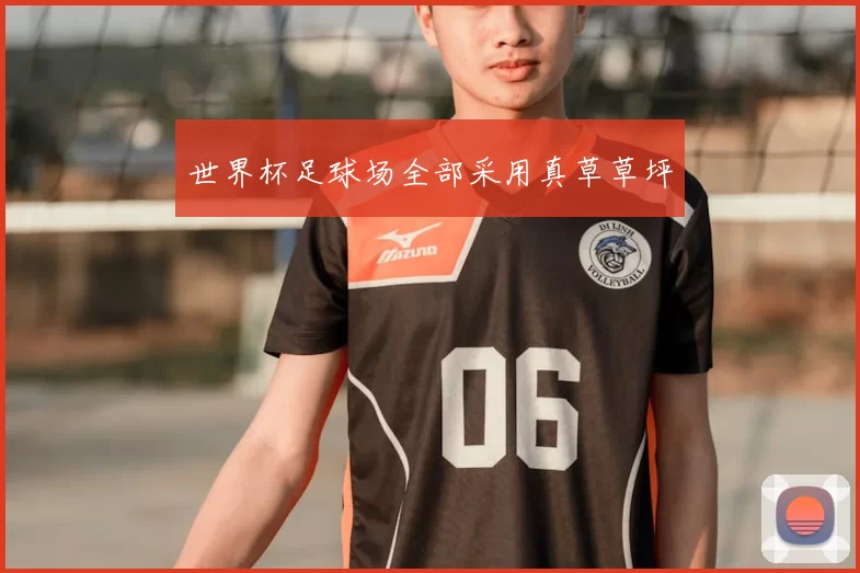 世界杯足球场全部采用真草草坪
