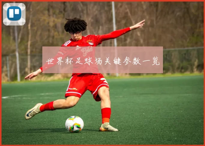 世界杯足球场关键参数一览