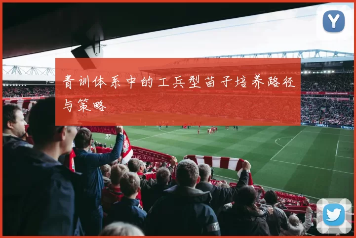 青训体系中的工兵型苗子培养路径与策略