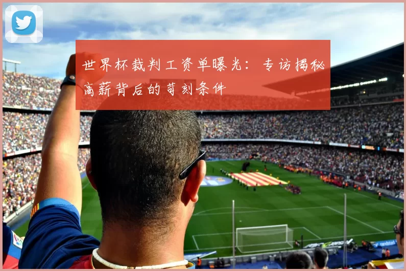 世界杯裁判工资单曝光:专访揭秘高薪背后的苛刻条件