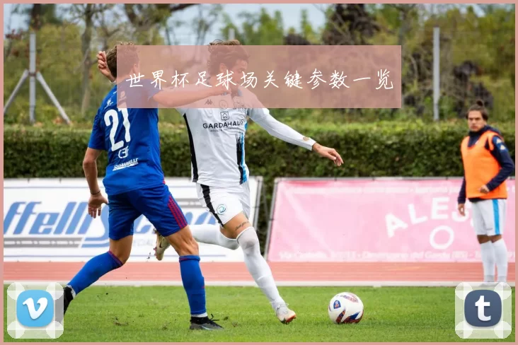 世界杯足球场关键参数一览