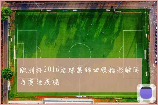 欧洲杯2016进球集锦回顾精彩瞬间与赛场表现