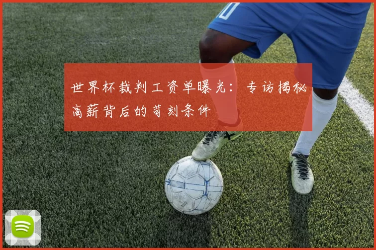 世界杯裁判工资单曝光:专访揭秘高薪背后的苛刻条件