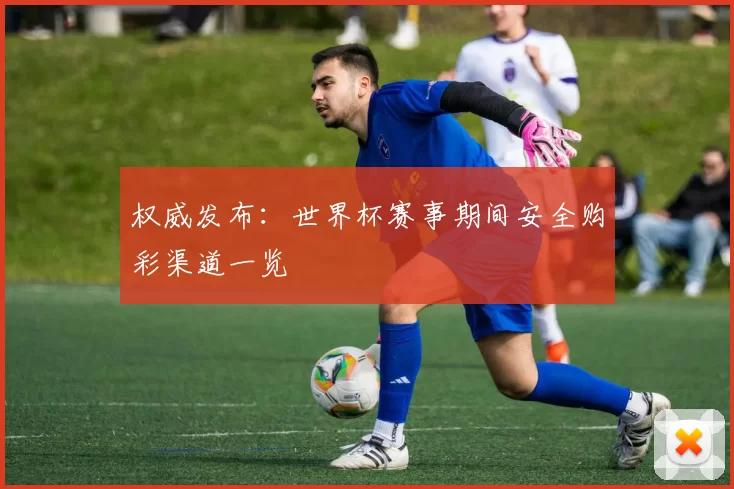 权威发布：世界杯赛事期间安全购彩渠道一览