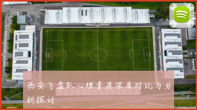 西安飞盘队心理素质深度对比与分析探讨