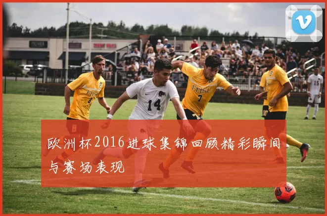 欧洲杯2016进球集锦回顾精彩瞬间与赛场表现